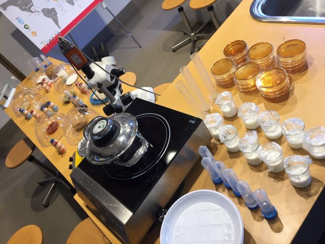 laboratorio-cibo-fermentato-museo-scienza-milano